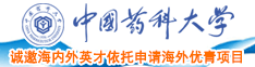 美女操逼的黄片儿中国药科大学诚邀海内外英才依托申请海外优青项目